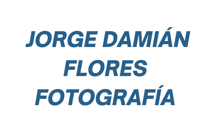 Flores Jorge Damian