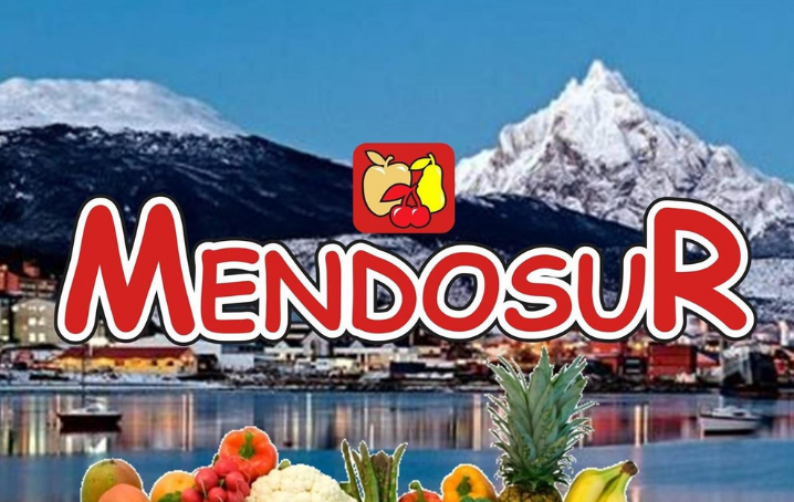 Mendosur